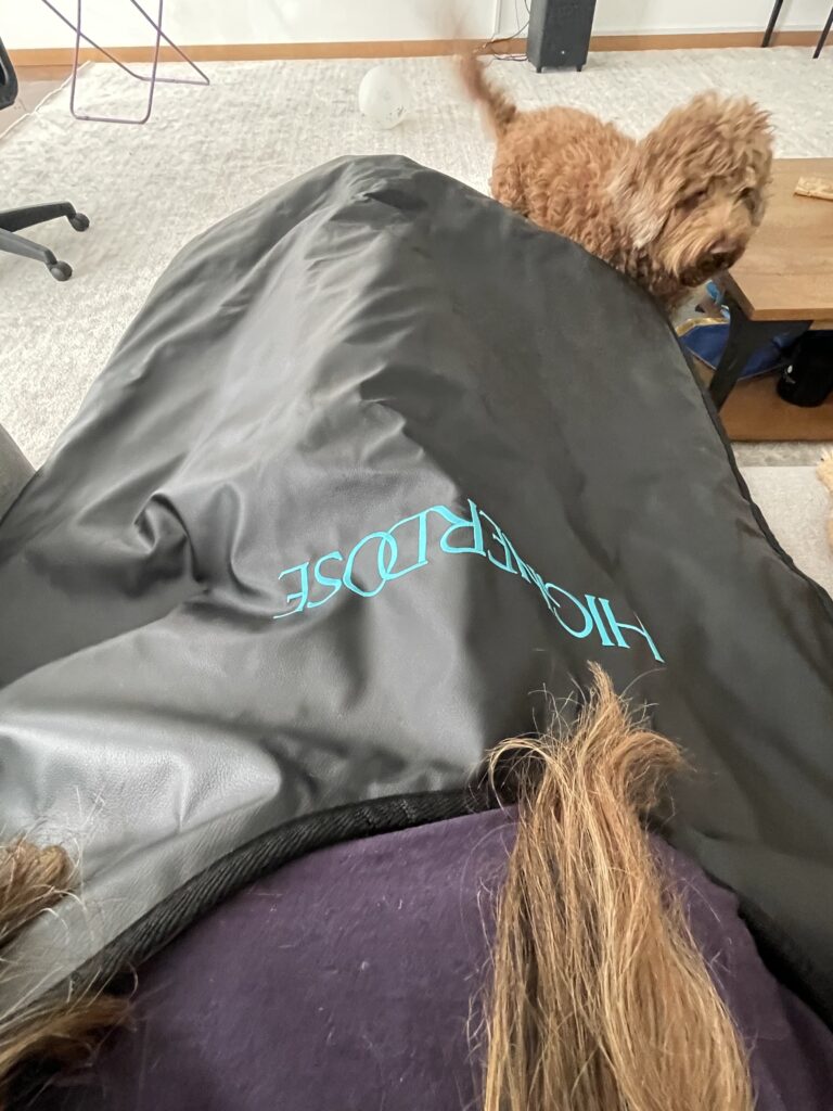 Higher Dose Infrared Sauna Blanket