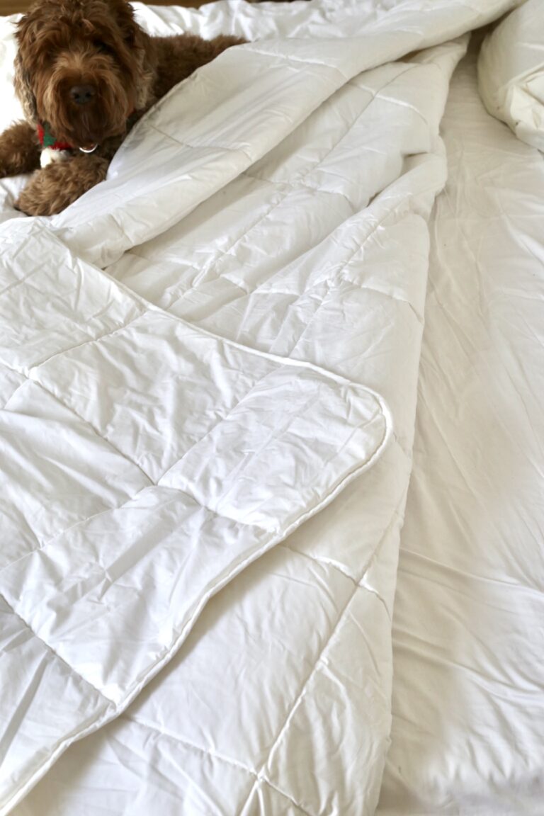 Antipodean home review